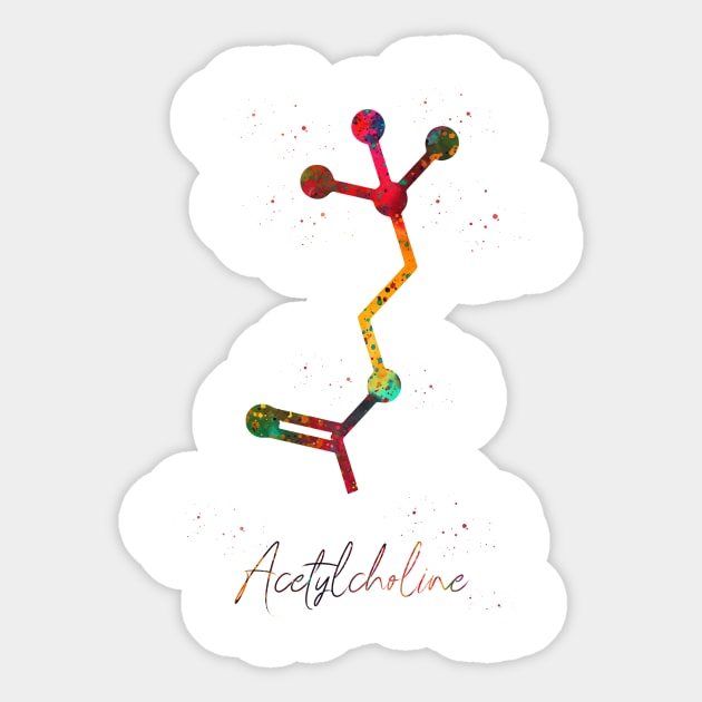 Acetylcholine molecule Sticker by erzebeth